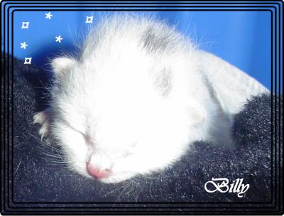 billy